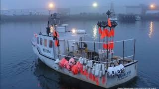 Partons la mer est belle  reprise acoustique [upl. by Melak]