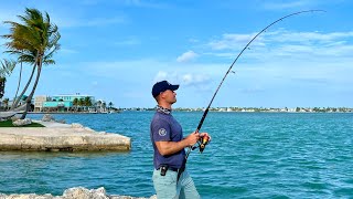 Fishing in the Florida Keys  Shore fishing in the Ocean  What fish can we catch  The Fish Locker [upl. by Mialliw]