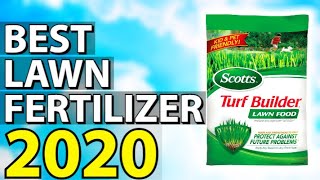 Best Lawn Fertilizer 2022  Top 5 Lawn Fertilizers [upl. by Remat]