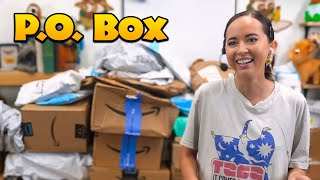 Biggest PO Box Opening EVER [upl. by Gilletta]