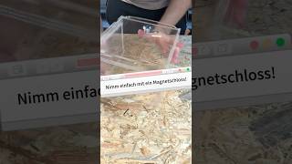 Sicherheit der Haltung von Skorpionen terraristik terrarium diy schloss skorpion skorpione [upl. by Eceinwahs]