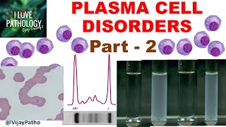 PLASMA CELL DISORDERS PART 2 Lab Diagnosis of Multiple Myeloma [upl. by Web]