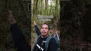 Hutan lumut Bawakaraeng tanjakan terjal menuju pos 8 via Tassoso [upl. by Marabel]