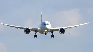 5 HeavyLight Passenger Airplanes Landing At Amsterdam Schiphol Airport🇳🇱✈️ [upl. by Scarrow959]