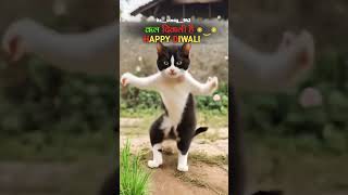 Kel diwali 🎇 hai happydiwali fastiwal trand short [upl. by Yesnek150]