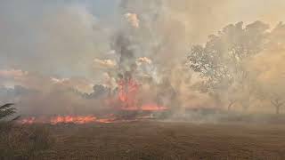 FIRE 20 Acre Control Burn with Drone and GoPro Footage [upl. by Tareyn]