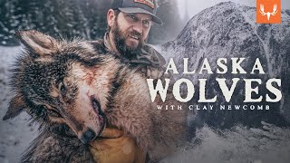 Alaska Wolf Management with Clay Newcomb [upl. by Nylteak834]