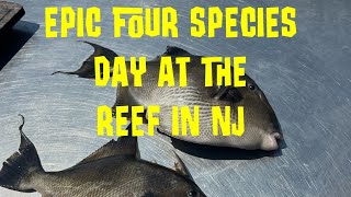 Epic Four Species Day on the Reef in NJ [upl. by Rem]