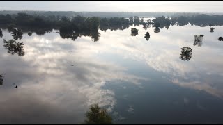 Atemberaubend  Hochwasser MarchThaya Au 17924  RabensburgHohenauDrösingDürnkrutStillfried [upl. by Einhorn853]