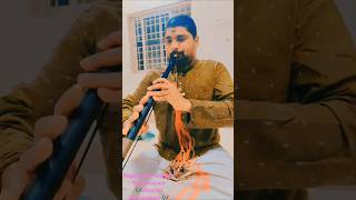 Ragam Vijayanagari carnatic classical music 🎶 Nadaswaram by Nagesh [upl. by Eirrehs]