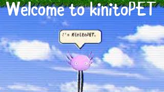 Welcome to kinitoPET welcome to the internet parody ai cover [upl. by Gabor]