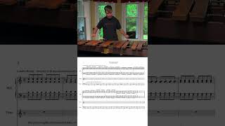 santaclaravanguard 4 mallet chord progressions now we’ve played the entire packet on shorts [upl. by Nilloc]