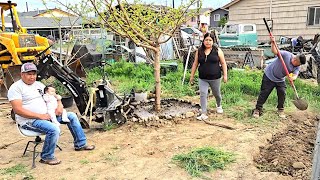 Ale Viene Aplantar Unas plantasy mira si los árboles pegaron ono aquí en la nueva casa 🏡 [upl. by Stanzel]