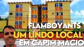 CONHEÇA O CONJUNTO FLAMBOYANTS  CAPIM MACIO [upl. by Noach]