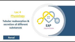 Lec 4  Physiology  Tubular reabsorption amp secretion of different substances 1  Renal [upl. by Jewel333]