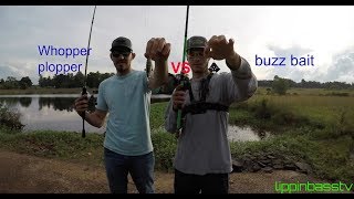 which works better buzz bait vs whopper plopper [upl. by Lilahk238]