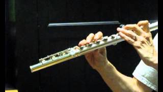 Gemeinhardt KG Special Used Flute for Sale  Low and High Register Demo [upl. by Atiana]