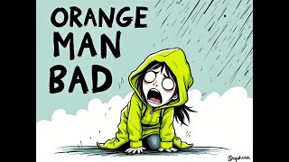 NETFLIX MINI SERIES ORANGE MAN BAD [upl. by Herzel772]