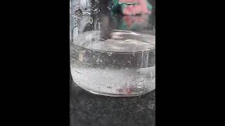 Dissolving ammonium bicarbonate in water [upl. by Noira211]