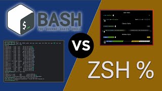 Who Wins the Terminal Battle Bash or Zsh [upl. by Doowron]