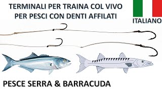 Terminali per traina col vivo per pesci con denti affilati pesce serra e barracuda [upl. by Enyahs576]