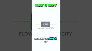 What is Diode Diodes Explained diode diodes electroniccomponent [upl. by Godard]