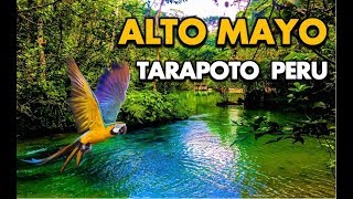 Alto Mayo Tarapoto Peru Full HD [upl. by Bollinger47]