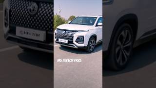 Why the New MG Hector is SO Expensive [upl. by Kooima]