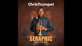 Seraphic Melodies 🎺 📯ChrisTrumpet [upl. by Yeknarf]