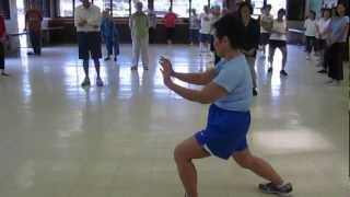 Grasp Birds Tail Single Whip Yang Style Tai Chi everydaytaichi by lucy chun [upl. by Alliw]