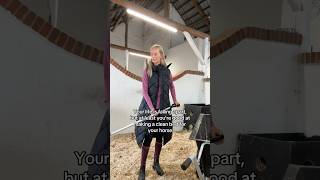 Relatable 😂 equestrian horse pferde cheval fun funny horses trending humor hest rider [upl. by Zennas]