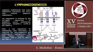 Linfedema Contributo della Genetica S MICHELINI CIF 2011 [upl. by Cha]