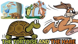 The TORTOISE and the HARE story [upl. by Ruhtracm555]