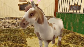 Horse World 🐴 Pferde Spiel deutsch Lets Play für Kinder Gratis [upl. by Assillim]