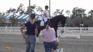 HorseJunkiesUnitedcom  Adrienne Lyle and Wizard Warm Up Sat World Dressage Masters [upl. by Aicitan]