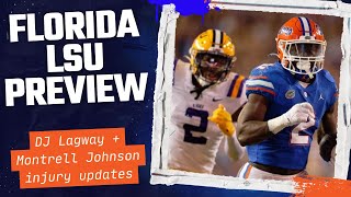 Can Florida Gators FINALLY Beat LSU Tigers in 2024 [upl. by Eadas]