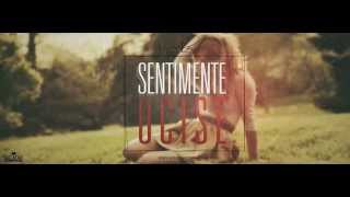 Alex  Sentimente ucise  Lyrics video [upl. by Knuth862]