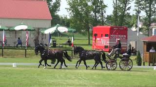 Christian SCHLÖGELHOFER AUT  CAIA H4 Vecsés Hungary dressage 4 June 2021 [upl. by Spieler593]