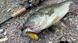 Fall Frog Fishing for Bass at Puddingstone Lake 1st frog fish [upl. by Nemad258]