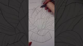 Cross Contour Drawing Short [upl. by Terryl]