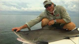 Bull Shark Fishing the Flats on Light Tackle in Homosassa Florida [upl. by Giorgia]