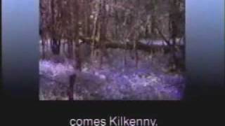 Kilkenny Irish Beer  Pilot Ad Pitch 1990s pt2 [upl. by Nevetse]