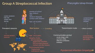 Streptococcal Infection [upl. by Anaiviv]