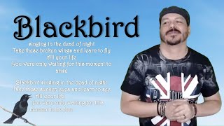 Historia de BLACKBIRD The Beatles [upl. by Heinrike579]