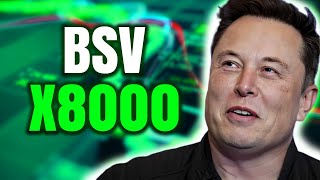 BSV Price to Skyrocket to X8000 Elon Musk Predicts  Buckle Up for the Crypto Journey 💰 [upl. by Teilo]