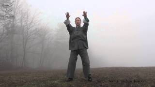 Tai Chi Qigong Shibashi [upl. by Rickie557]