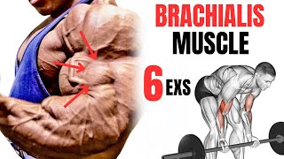 5 BEST BRACHIALIS WORKOUT AT GYM FASTER [upl. by Pears365]