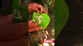 Pomelo Cutting Skill😋😄tips viral shot trendingshorts tricks recipeart artwork [upl. by Oleic566]