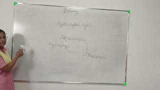 Hydrological Cycle  Class Seminar [upl. by Mcafee]