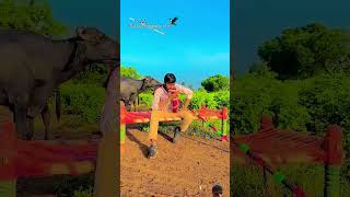 love farmer song duet su vat che bhai ji chhani lat lagi Mane 👌👌👈🤵🤵 [upl. by Swithbert398]